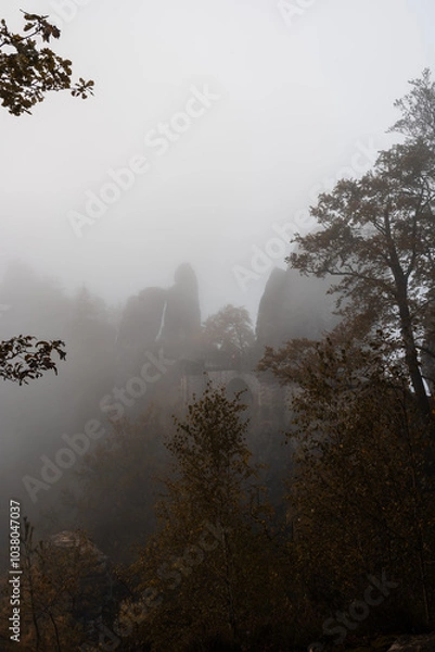 Obraz Basteibrücke eingehüllt im Morgennebel