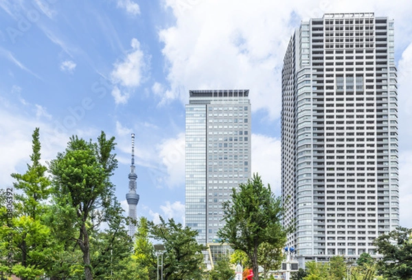 Fototapeta 錦糸公園から望むオリナスと東京スカイツリー