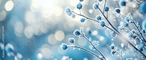 Fototapeta The Frosted Blue Branches