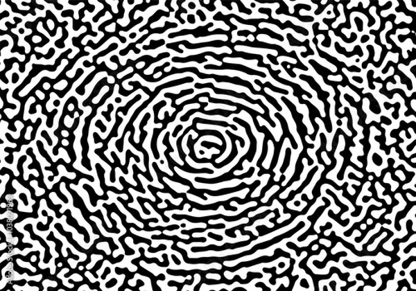 Fototapeta Organic turing background. Monochrome pattern for cover, banner or poster. Diffusion natural texture with different random shapes. Vector illustration.