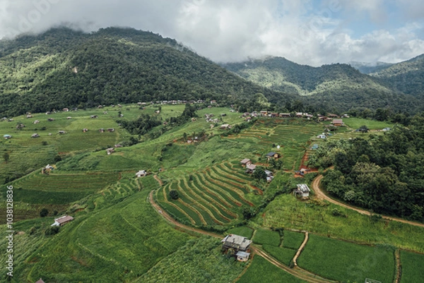 Fototapeta rice fields on a mountain and take photo in the Ban Pa Bong Piang, Mae Chaem District, Chiang Mai Province, northern Thailand in the rainy season.