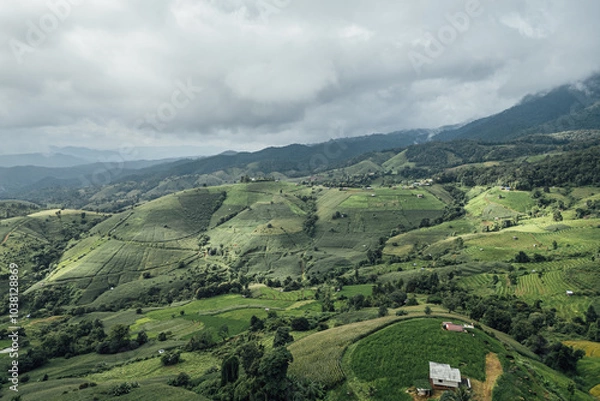 Fototapeta rice fields on a mountain and take photo in the Ban Pa Bong Piang, Mae Chaem District, Chiang Mai Province, northern Thailand in the rainy season.