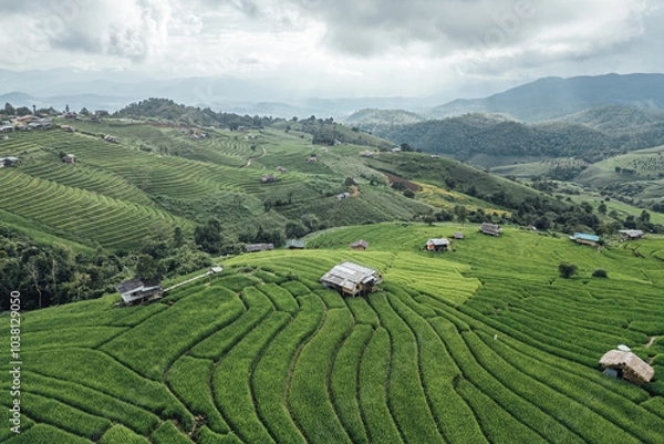 Fototapeta rice fields on a mountain and take photo in the Ban Pa Bong Piang, Mae Chaem District, Chiang Mai Province, northern Thailand in the rainy season.