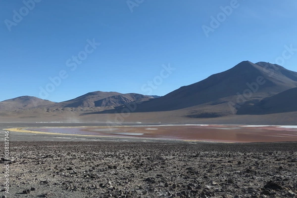 Obraz Arrivée à la laguna