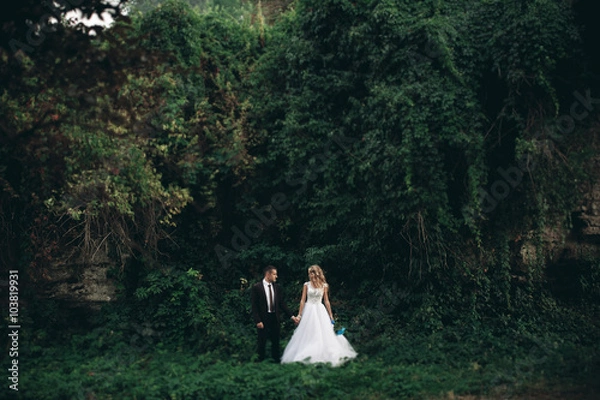 Fototapeta Luxury wedding couple hugging and kissing on the background gorgeous plants and cave near ancient castle