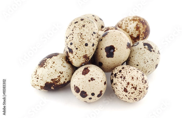 Obraz Pila de huevos de codorniz