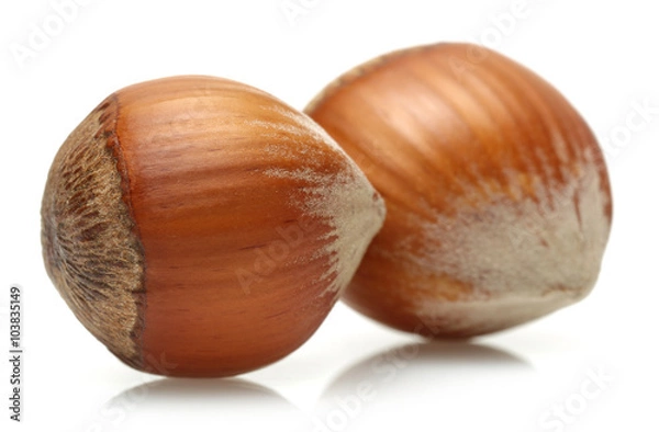 Fototapeta Hazelnuts