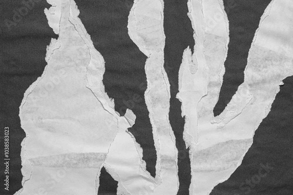 Fototapeta Black and White Torn Paper Collage Style, Ripped Paper Effect, Texture Abstract Background, Copy Space for Text.