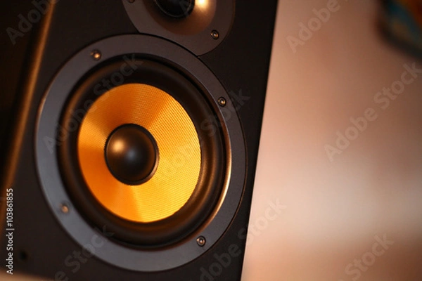 Obraz Enceinte de sono