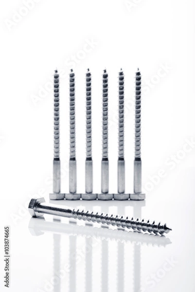 Fototapeta Hexagonal threaded steel bolts or screws used in carpentry. Objects on white background in line.
