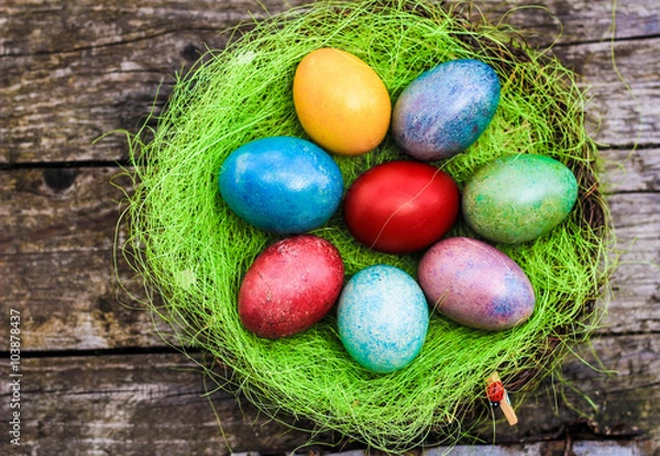 Obraz Easter nest on wood