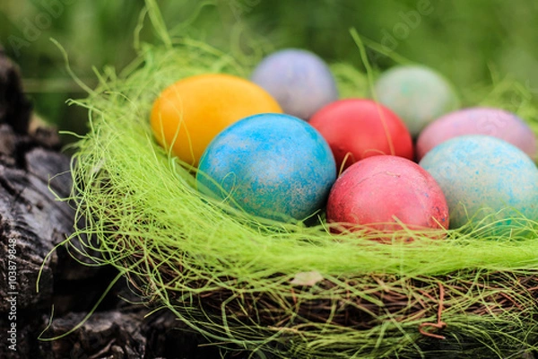 Fototapeta Easter nest