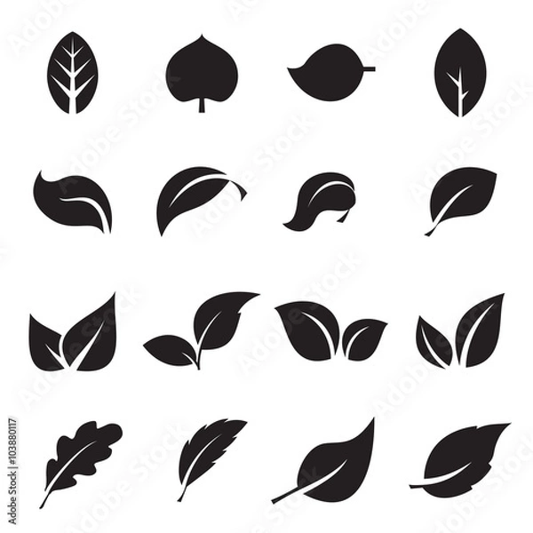 Fototapeta Collection of leaf icons. Black icons isolated on a white background. Vector illustration