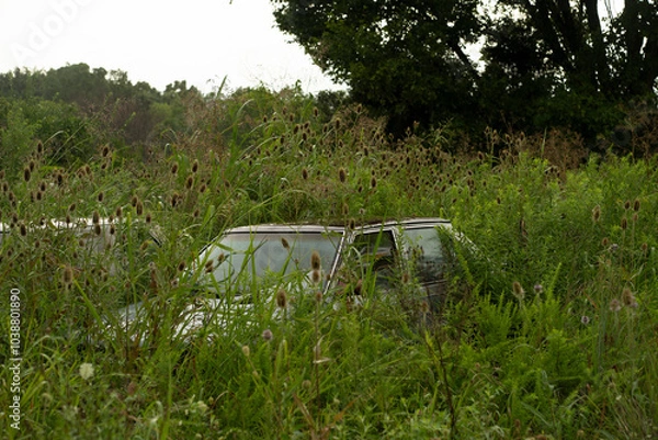 Obraz old wooden chair