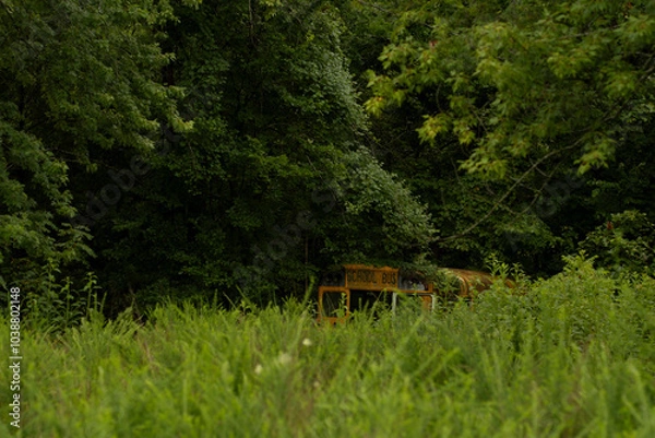 Obraz school bus in woods