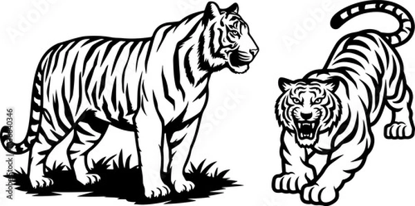 Obraz Tiger icon vector black and white concept