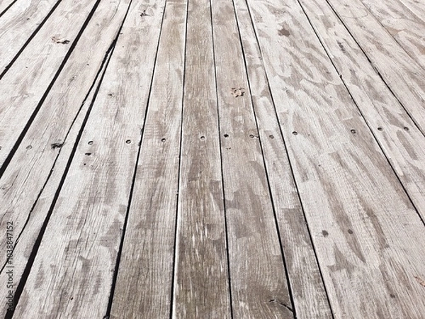 Fototapeta floor and old trees