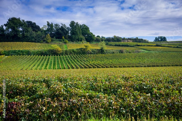 Fototapeta Saint-Emilion