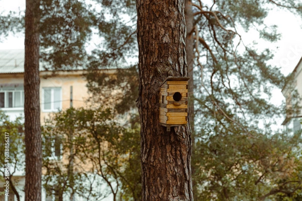 Obraz Rustic Birdhouse on Pine Tree