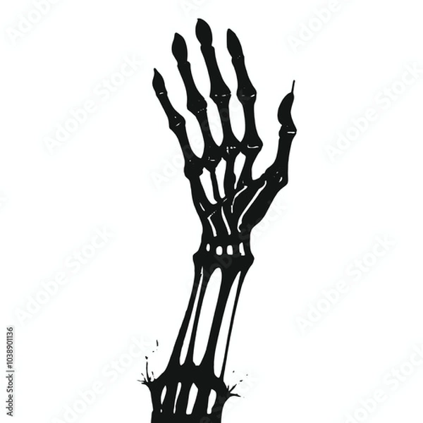 Fototapeta Skeleton Hand vector silhouette