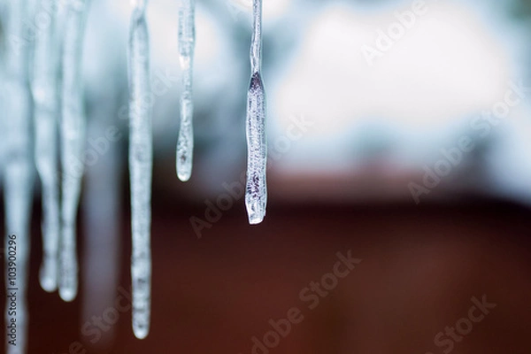 Obraz icicle frost ice 