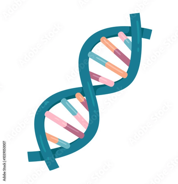 Fototapeta Vector illustration of spiral DNA double helix isolated on white background	