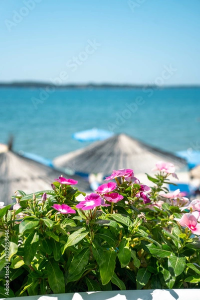 Fototapeta Vibrant flowers blooming in planters at a beach café, with a glimpse of the sea in the background. Perfect for marketing beach cafés, tourism campaigns, or lifestyle blogs.