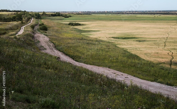 Obraz дорога в поле