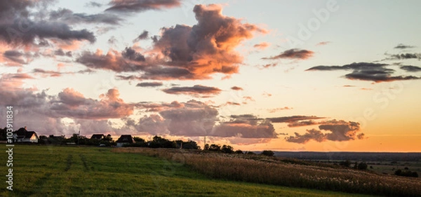Obraz поле на закате с облаками