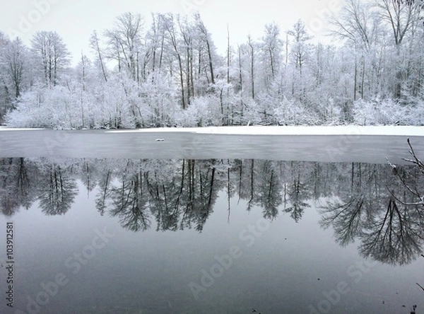 Obraz Winter on the lake
