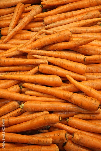 Obraz Carrots