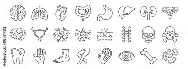 Obraz Human organs line icon set. Vector pictograms of heart, lungs, liver, stomach, intestine, kidney, bladder, anatomy thin linear illustration.
