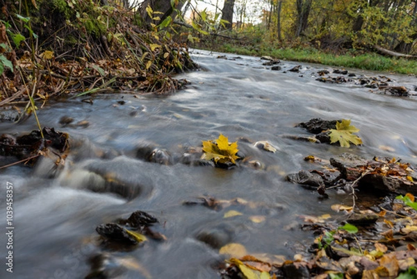 Fototapeta fast river between stones, stream of water passes the stone, ecology in the river, beautiful natural environment as background, blurred stream of water