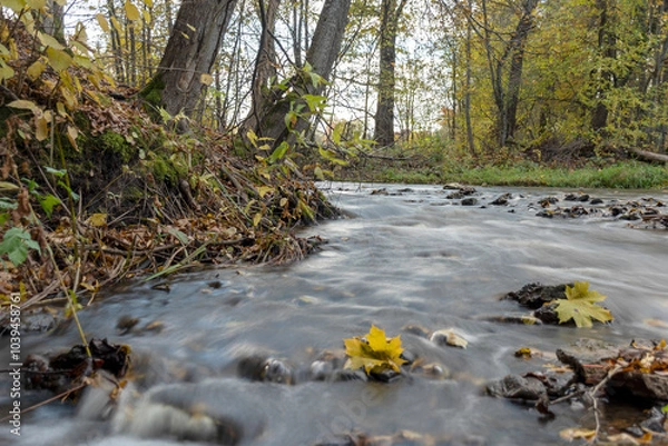 Fototapeta fast river between stones, stream of water passes the stone, ecology in the river, beautiful natural environment as background, blurred stream of water