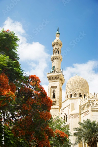Obraz mosque in Alexandria, Egypt