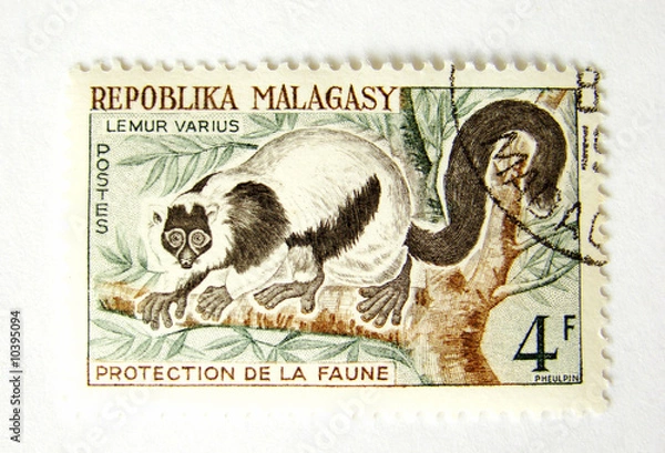 Obraz Madagascar postage stamp with monkey on white background
