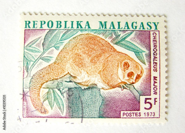 Obraz Madagascar postage stamp with monkey on white background