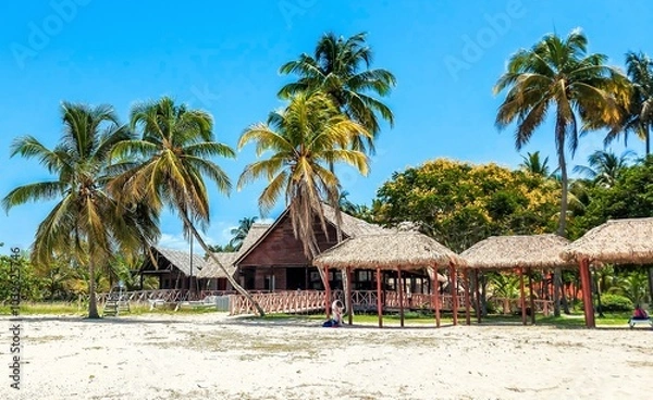 Obraz Playa Larga, Cuba.	
