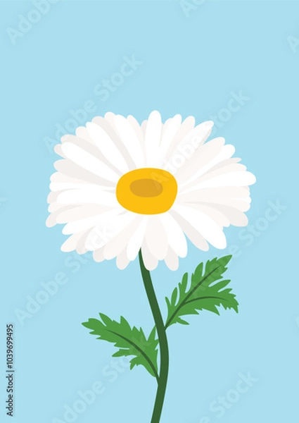 Obraz Daisy flower background.Eps 10 vector.