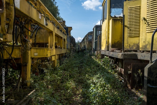 Obraz train on the rails