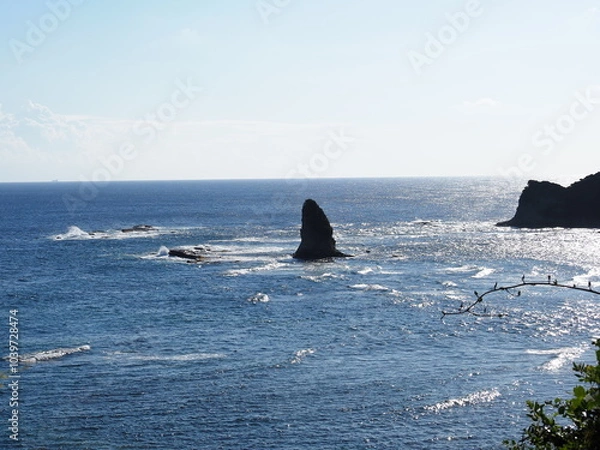 Obraz 海からそびえる岩