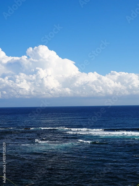 Obraz 水平線と雲