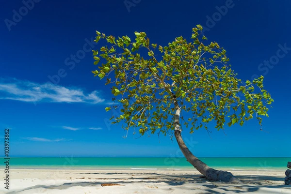 Fototapeta White sand beach in  Khao Lak