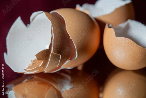 Obraz broken egg shells