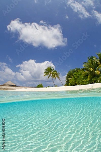 Fototapeta SNORKELING POINT