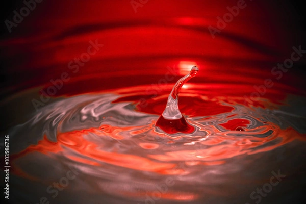 Fototapeta Color drops