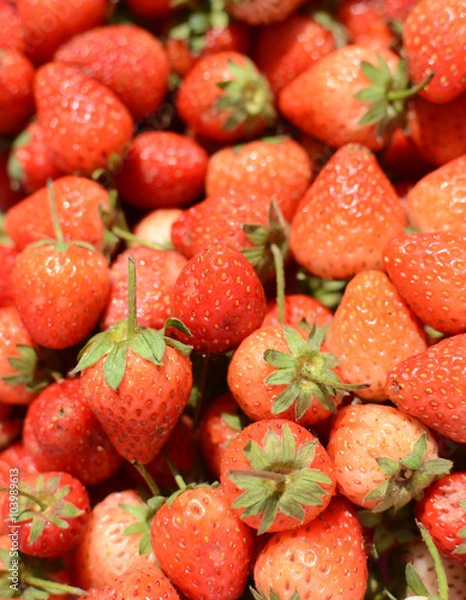 Fototapeta strawberry