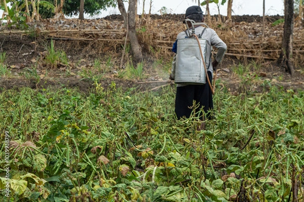 Obraz farmer working in a field