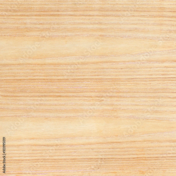 Fototapeta plywood texture background, plywood board textured with natural wood pattern