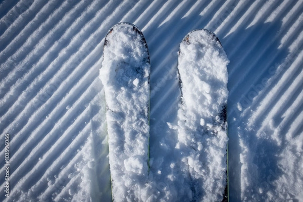 Obraz Skis on groomed piste
